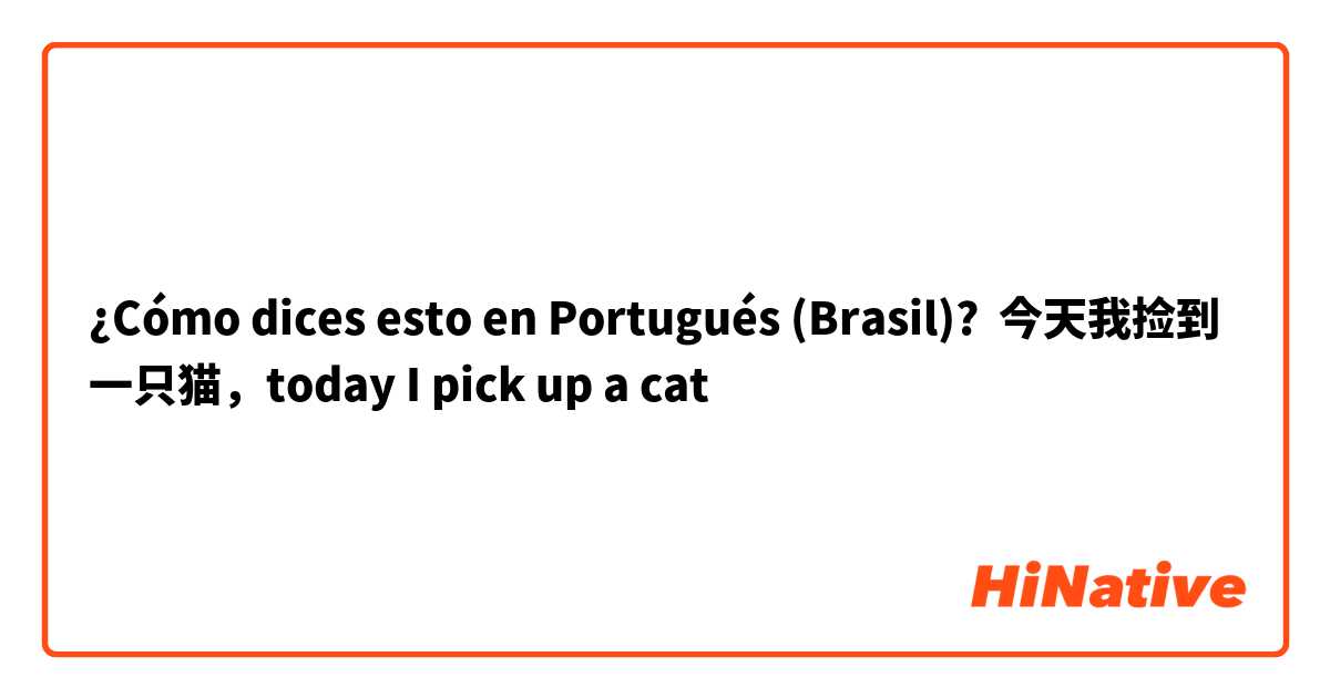 ¿Cómo dices esto en Portugués (Brasil)? 今天我捡到一只猫，today I pick up a cat