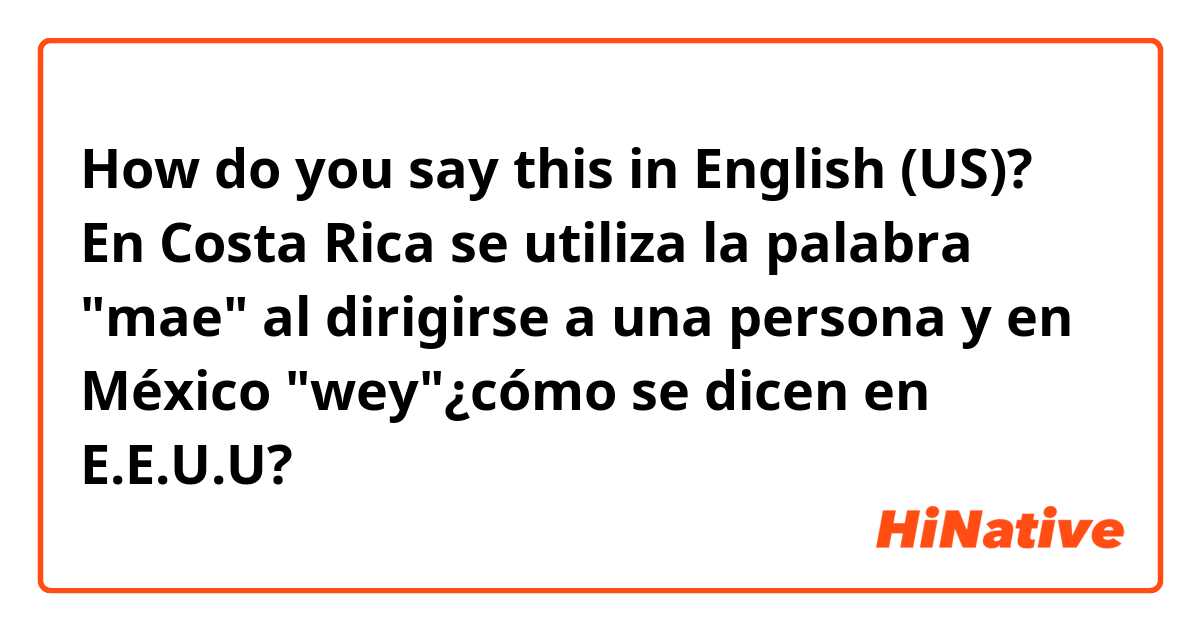 How do you say this in English (US)? En Costa Rica se utiliza la palabra "mae" al dirigirse a una persona  y en México "wey"¿cómo se dicen en E.E.U.U? 