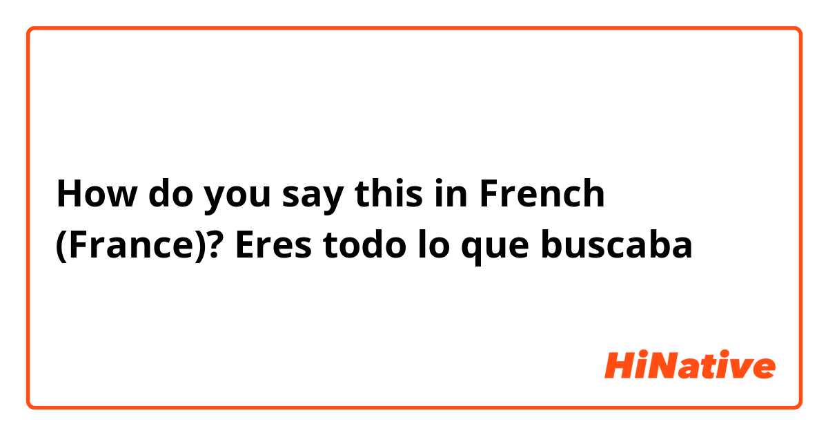 How do you say this in French (France)? Eres todo lo que buscaba 