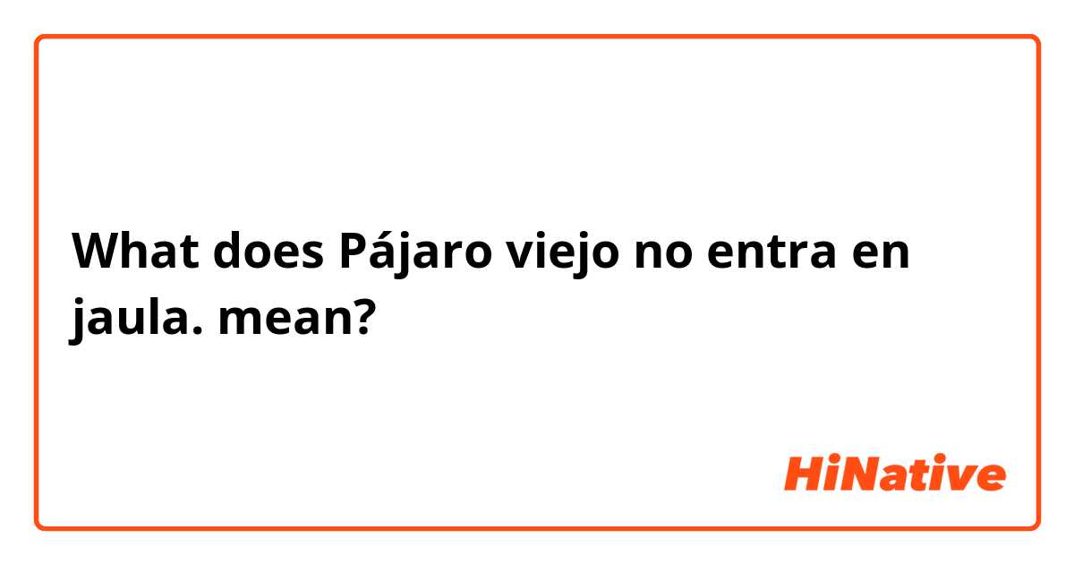 What does Pájaro viejo no entra en jaula. mean?