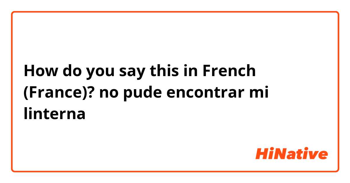 How do you say this in French (France)? no pude encontrar mi linterna